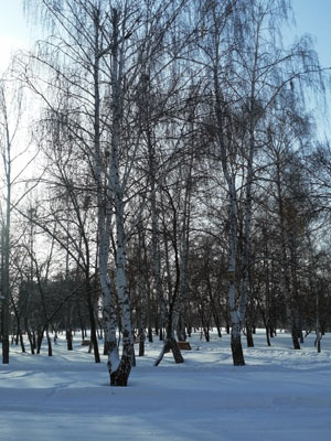 Пррогулка в парке 1ПКС-18