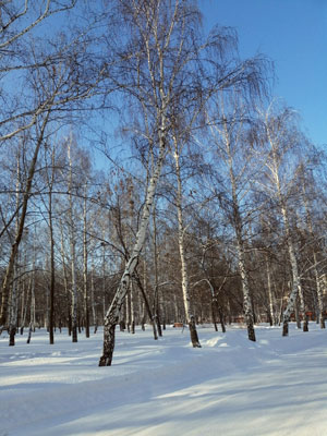 Пррогулка в парке 1ПКС-18