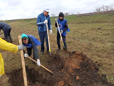 День экологических действий