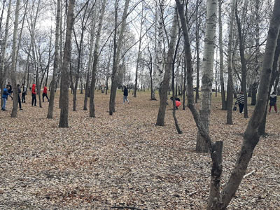 Уборка в Парке Победы