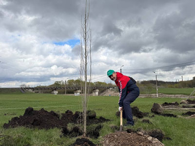 Посадка пирамидальных тополей в ходе акции Зелёная Башкирия