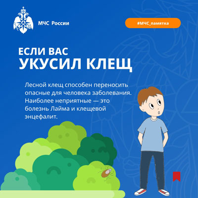 Если вас укусил клещ