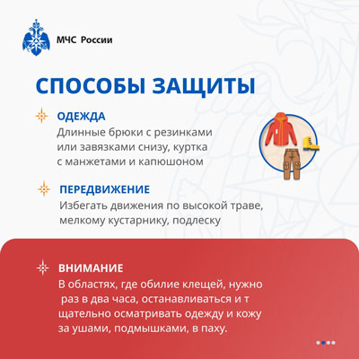 Если вас укусил клещ