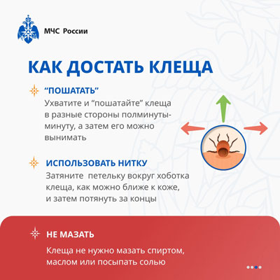 Если вас укусил клещ