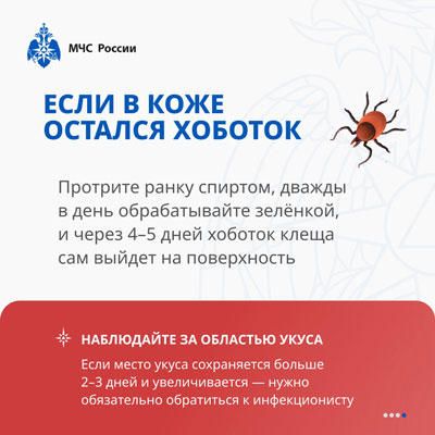 Если вас укусил клещ