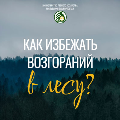 Карточки Останови огонь 2026