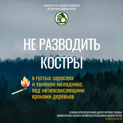 Карточки Останови огонь 2026