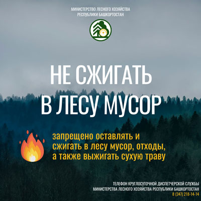 Карточки Останови огонь 2026