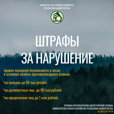 Карточки Останови огонь 2026