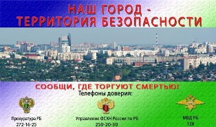 Наш город - территория безопасности