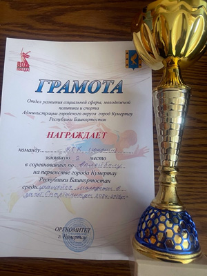 Первенство города по волейболу среди юношей